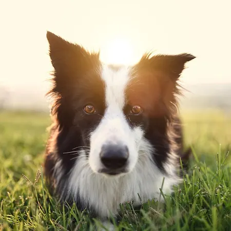 Frühstückspension La Cascina Della Musica